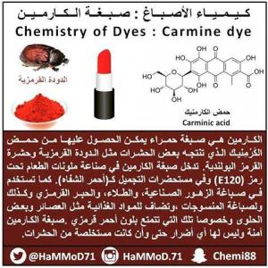 قسم الكيمياء بالليث ينظم نشاط الكيمياء في حياتنا (الإضافات الغذائية)